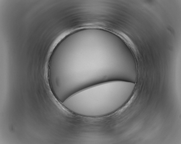 X0000111591196200907231208