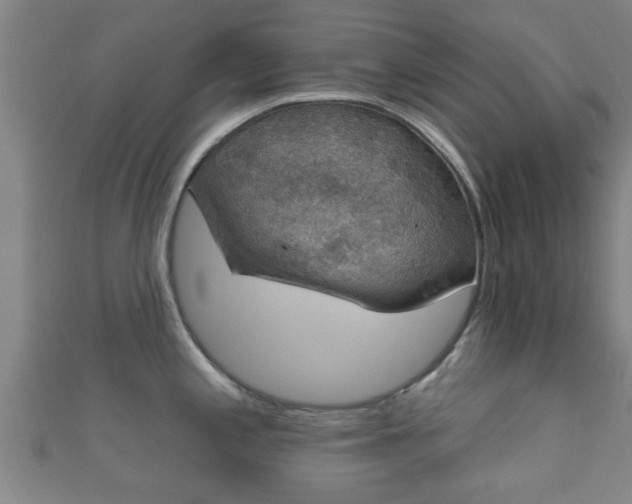 X0000111591197200907231208