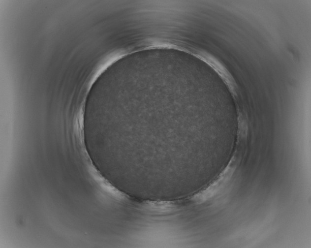 X0000111591198200907231208