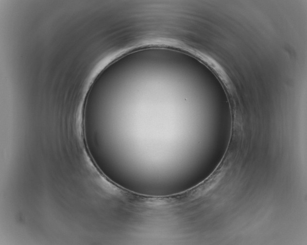 X0000111591199200907231208