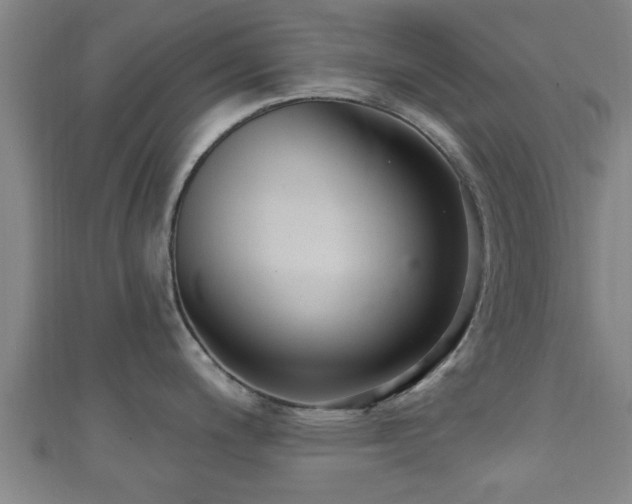 X0000111591200200907231208