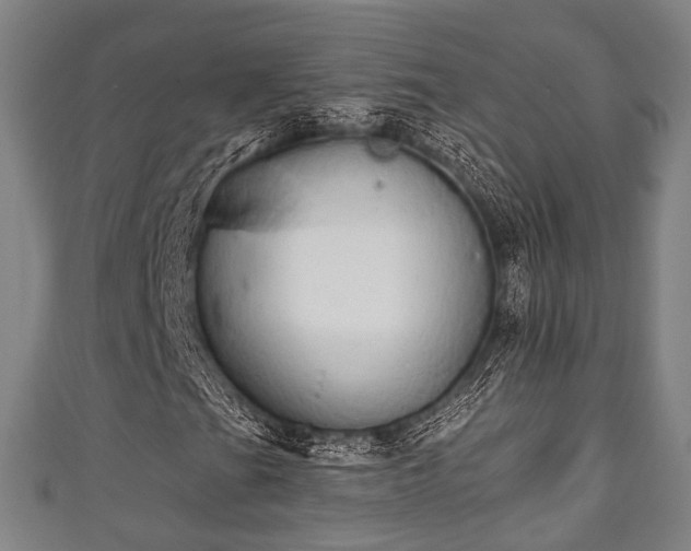 X0000111591201200907231207