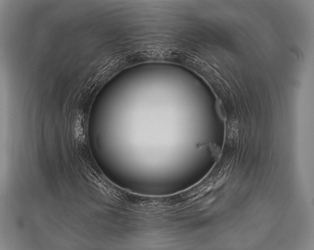 X0000111591202200907231207