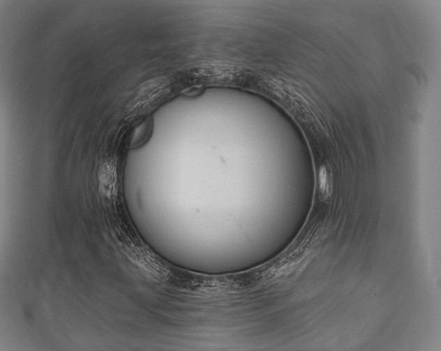 X0000111591203200907231207