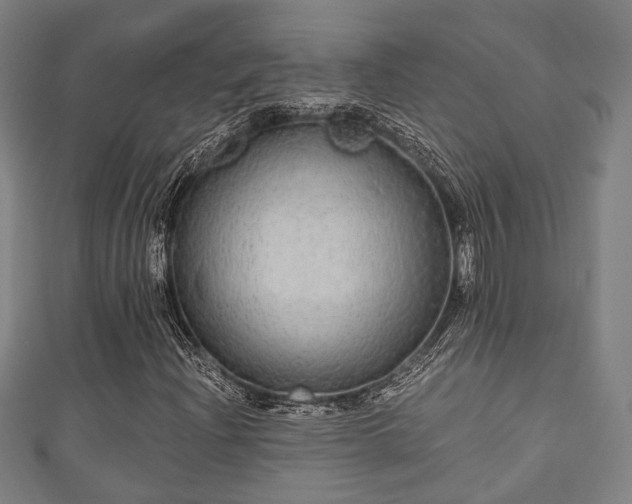 X0000111591204200907231207