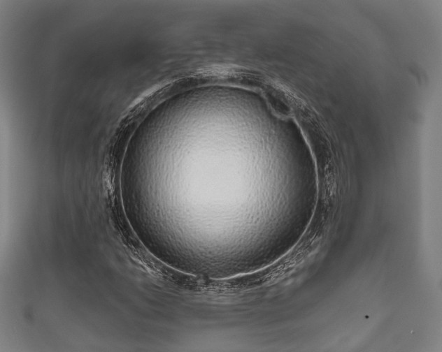 X0000111591206200907231207