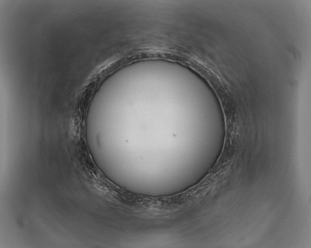 X0000111591207200907231207