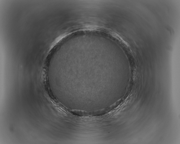 X0000111591208200907231207