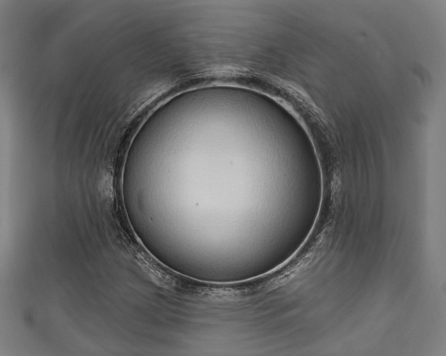 X0000111591209200907231207