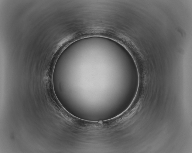 X0000111591210200907231207