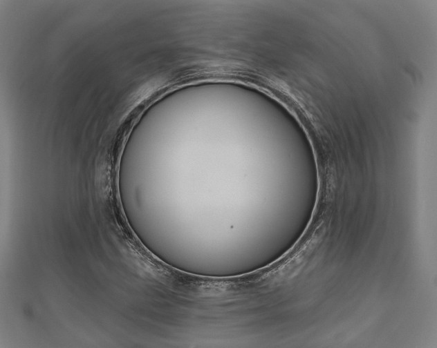 X0000111591211200907231207