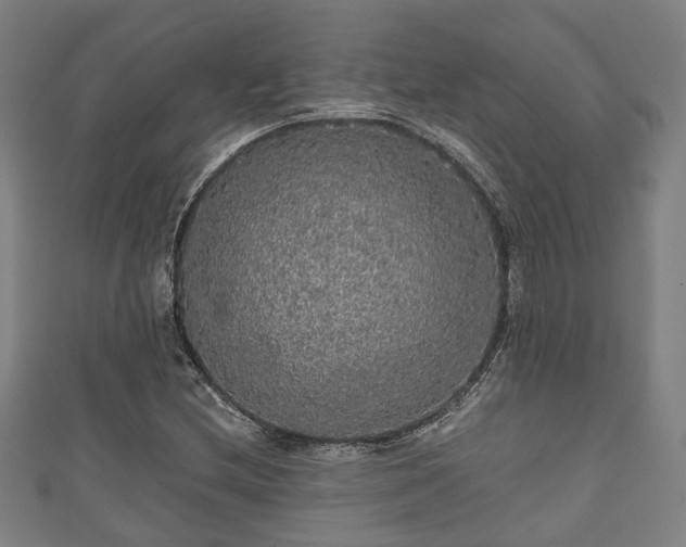 X0000111591212200907231207