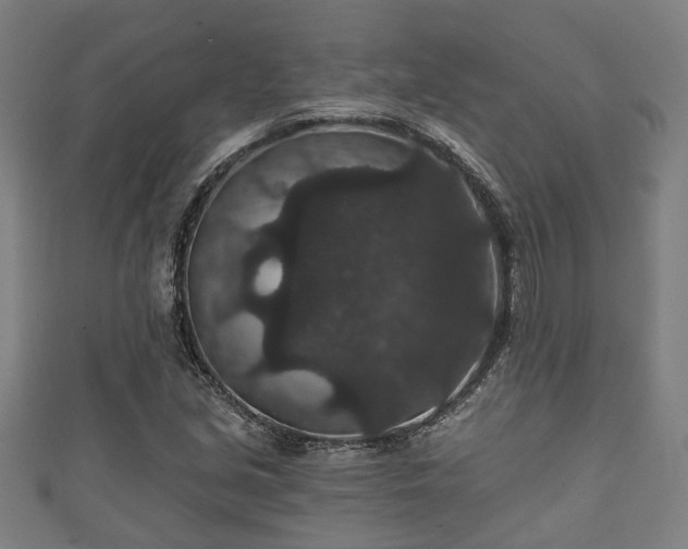 X0000111591213200907231207