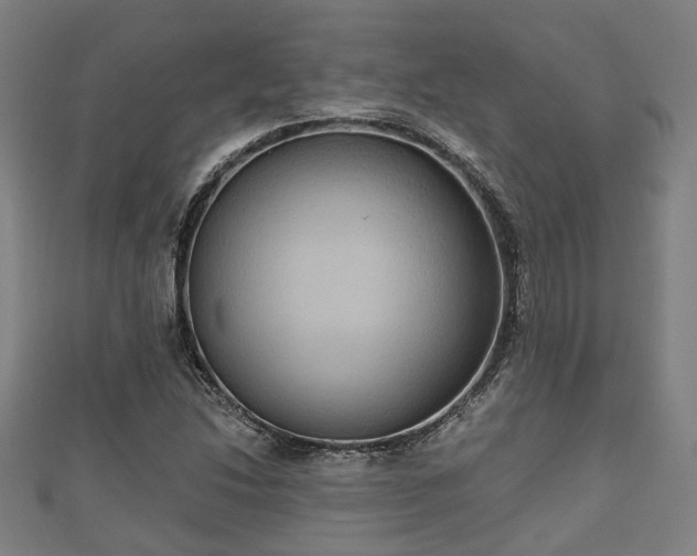 X0000111591214200907231207