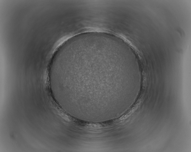 X0000111591215200907231207