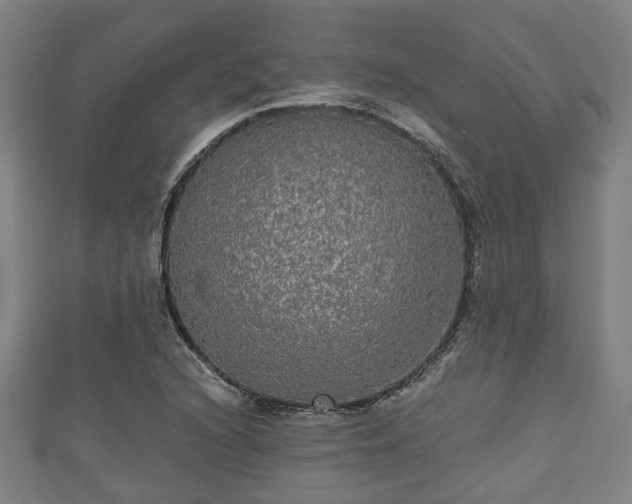 X0000111591216200907231207