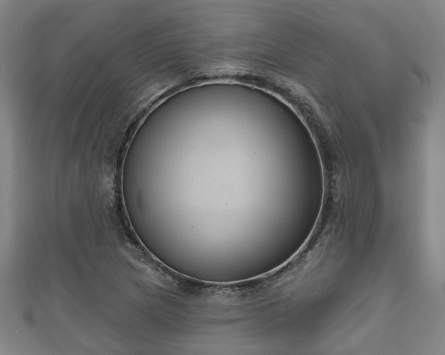 X0000111591217200907231207