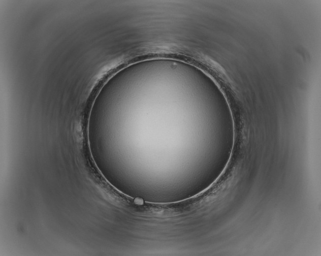 X0000111591218200907231207