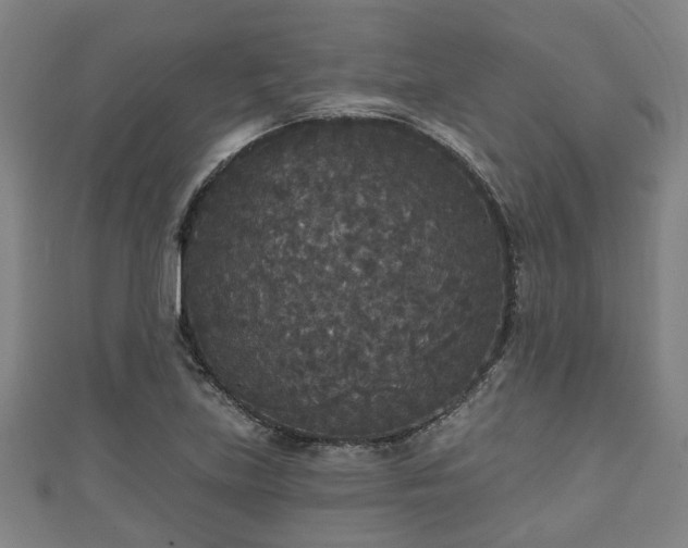 X0000111591219200907231207