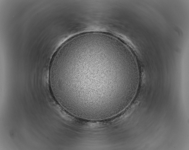 X0000111591220200907231207