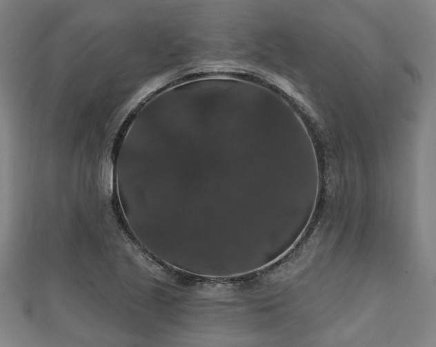 X0000111591221200907231207