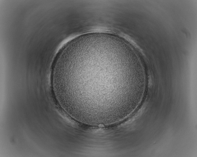 X0000111591222200907231207