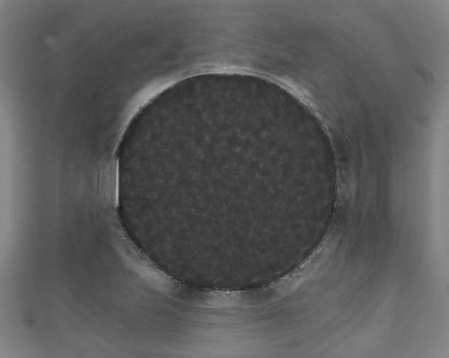 X0000111591223200907231207