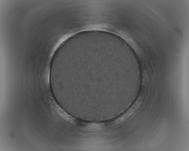 X0000111591224200907231208