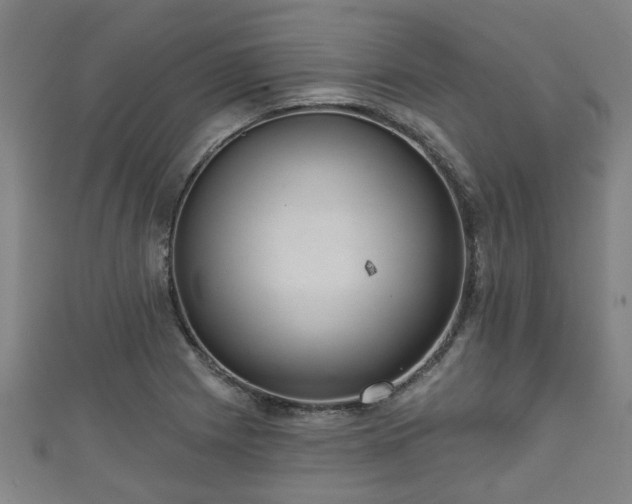 X0000111591225200907231208