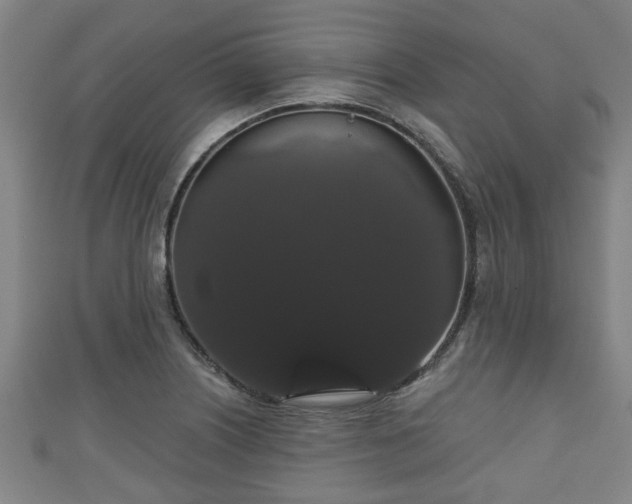 X0000111591226200907231208