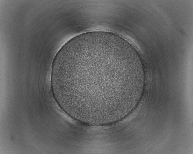 X0000111591228200907231208