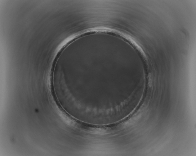 X0000111591229200907231208