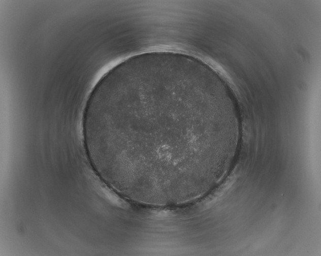 X0000111591230200907231208