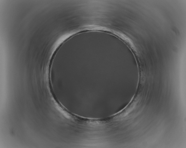 X0000111591231200907231208