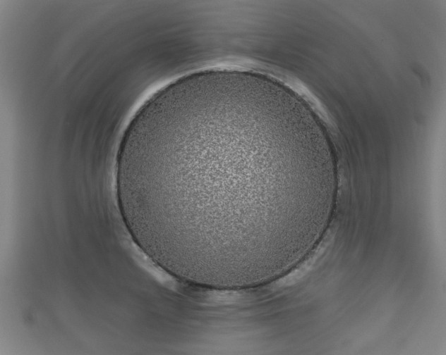 X0000111591232200907231208