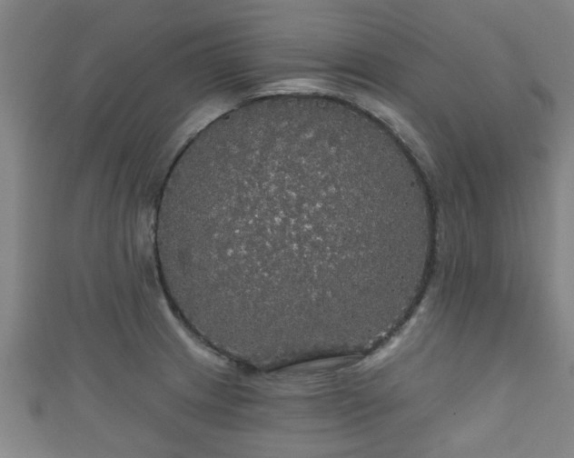 X0000111591233200907231208