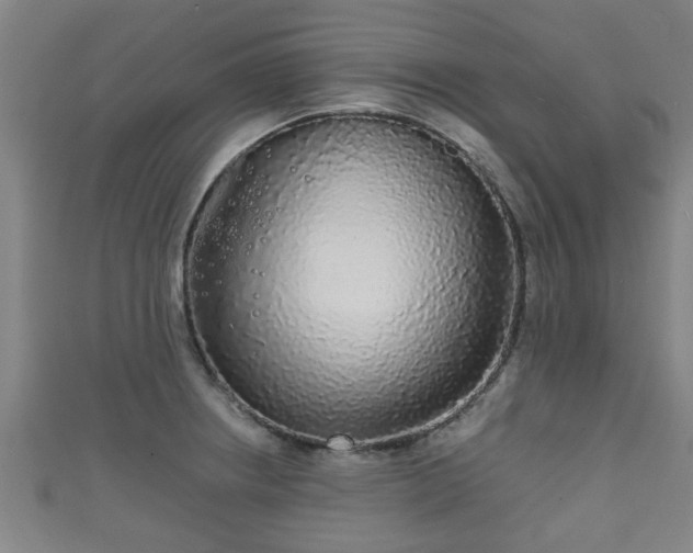 X0000111591234200907231208