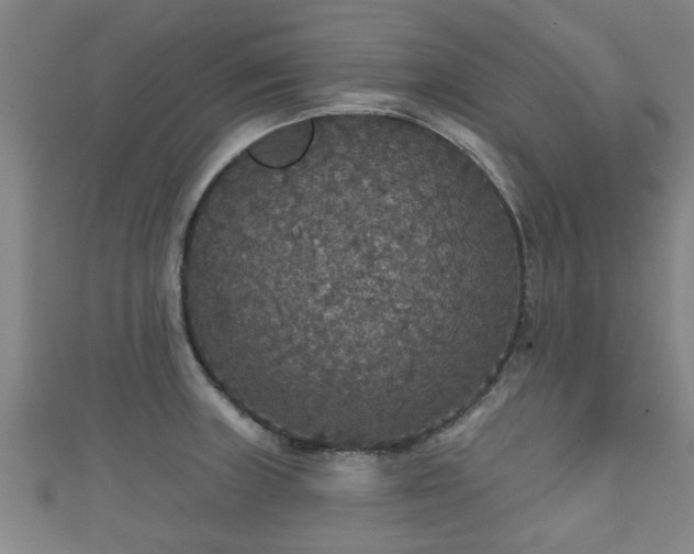 X0000111591235200907231208