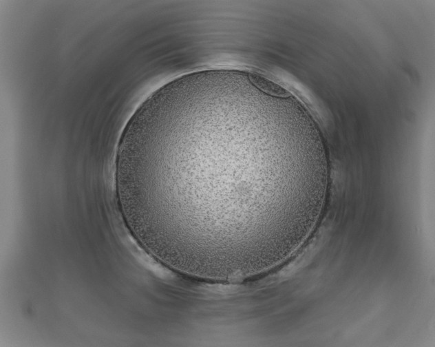 X0000111591236200907231208