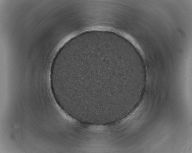 X0000111591237200907231208