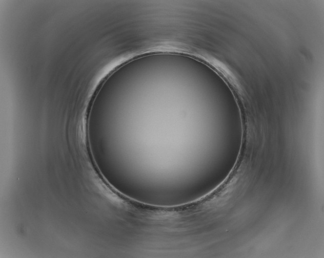 X0000111591238200907231208