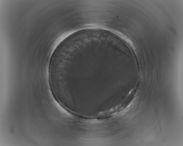 X0000111591239200907231208