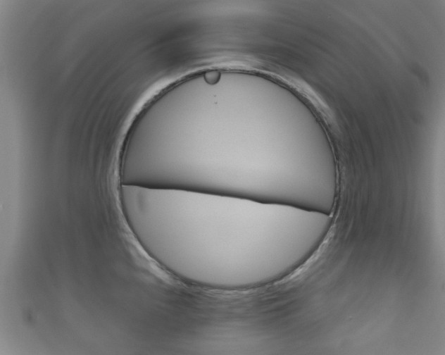 X0000111591240200907231208