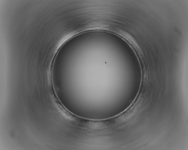 X0000111591242200907231208