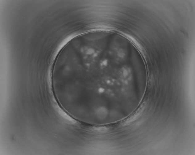 X0000111591243200907231208