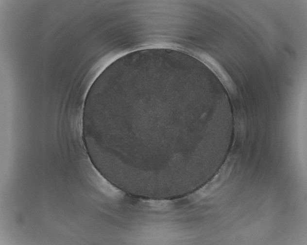 X0000111591244200907231208