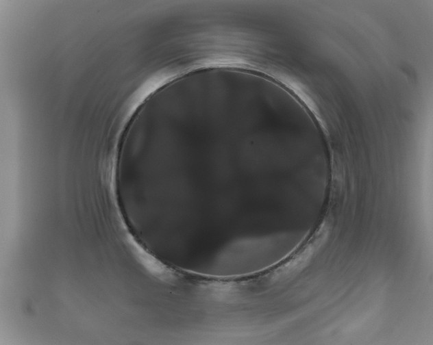 X0000111591245200907231208