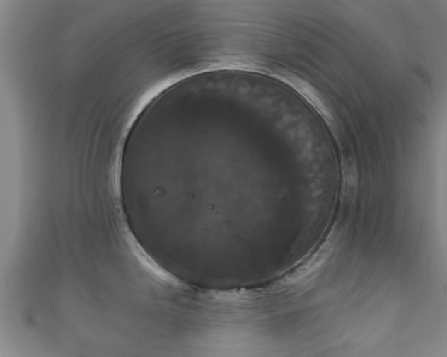 X0000111591246200907231208