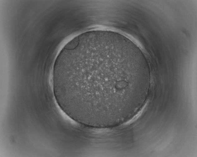 X0000111591247200907231208