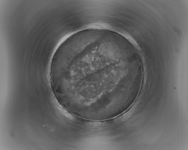 X0000111591248200907231208